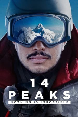 14 Peaks: Nothing Is Impossible (2021) Hindi Dual Audio 350MB