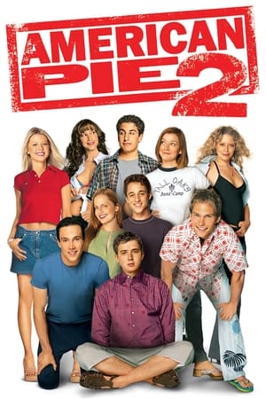 American Pie 2 (2001) Hindi Dual Audio [990MB]