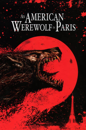 An American Werewolf in Paris 1997 Hindi Dual Audio 300MB