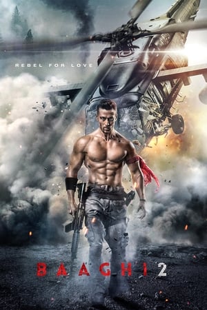 Baaghi 2 2018 Movie [700MB] - Movierulz