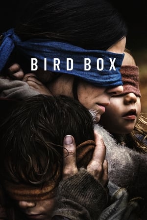Bird Box 2018 Hindi (HQ DUBBED) Dual Audio WehRip [1.1GB] - Movierulz
