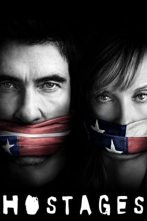 Hostages (2019) Hindi Web Series | 480p [Complete]