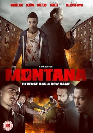 Montana (2014) Hindi Dual Audio 350MB