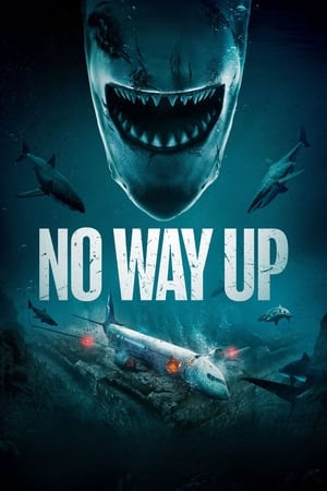 No Way Up (2024) Hindi Dual Audio – 480p – 1080p