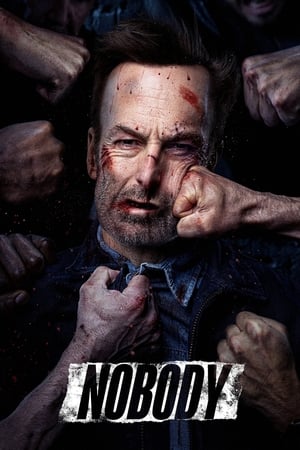 Nobody (2021) Hindi Dual Audio – – - Movierulz