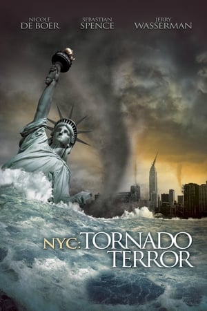 NYC Tornado Terror 2008 Hindi Dual Audio [1.1GB]