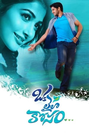 Oka Laila Kosam 2014 (Hindi – Telugu) Dual Audio [1.2GB]