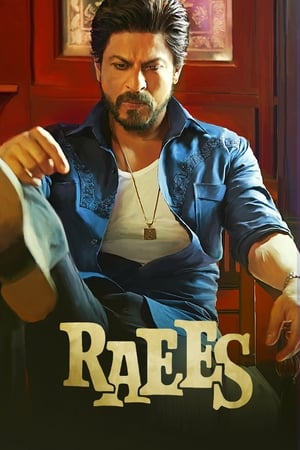 Raees (2017) Full Movie [1.0GB] Download - Movierulz