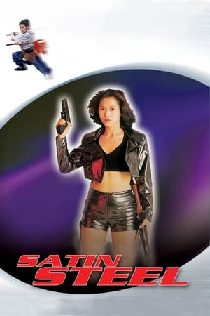 Satin Steel (1994) Hindi Dual Audio 260MB - Movierulz