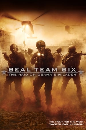 Seal Team Six: The Raid on Osama Bin Laden (2012) Hindi Dual Audio 300MB - Movierulz