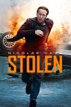 Stolen (2012) Hindi Dual Audio [800MB] ESubs