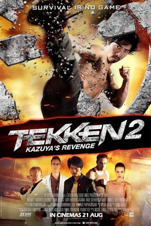 Tekken Kazuyas Revenge 2014 Hindi Dual Audio [900MB] - Movierulz