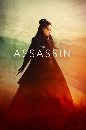 The Assassin 2015 Hindi Dual Audio 300MB - Movierulz
