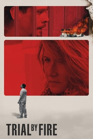 Trial by Fire 2018 Hindi Dual Audio [1GB] - Movierulz